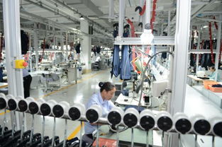 寧波供電助力服裝制造業軟件開發 推動產業數字化轉型升級